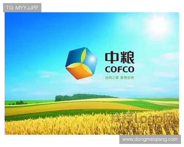 探讨凯发正规下载的市场前景与用户需求,展望未来发展趋势 探讨凯发正规下载的市场前景与用户需求,展望未来发展趋势