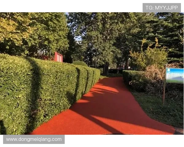 凯发体育滚球盘引领行业新风尚,打造专业化体育博彩平台的创新发展路径 凯发体育滚球盘引领行业新风尚,打造专业化体育博彩平台的创新发展路径