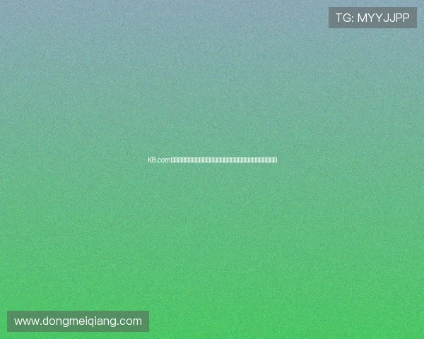K8.com凯发国际版的安全性与稳定性分析确保玩家游戏体验无忧的关键因素